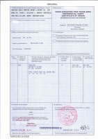 Apply for China-Singapore Certificate of Origin